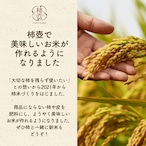 【2025年産】【11月発送】西条柿 4L 21玉（5ｋｇ）たしなみ