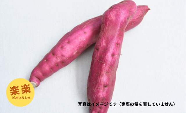 さつまいも・紅はるか