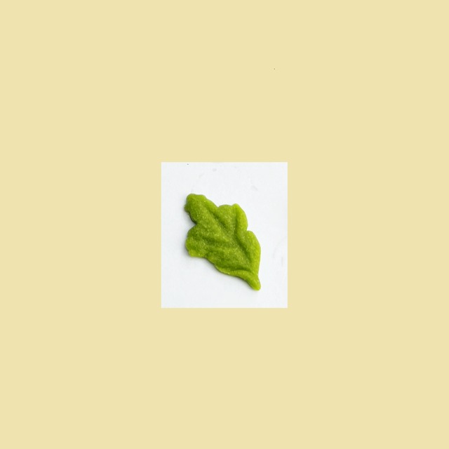 ９月の干菓子　菊の葉　小　（きくのは）