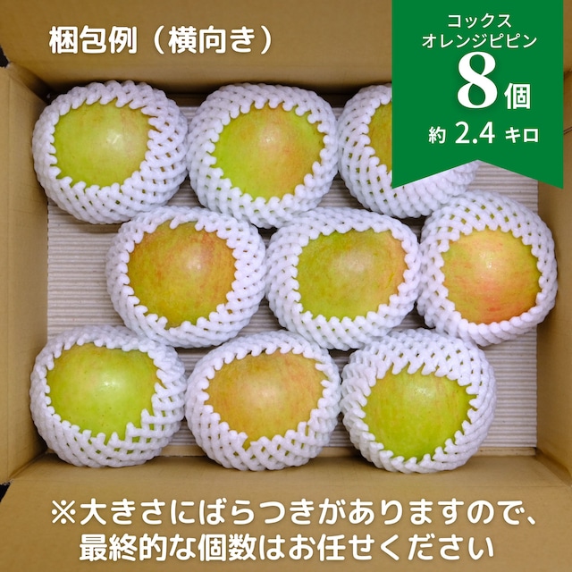 【甘酸っぱいりんご】コックスオレンジピピン8個（約2.4キロ）岩手県産【発送日選択】（クール冷蔵送料込）