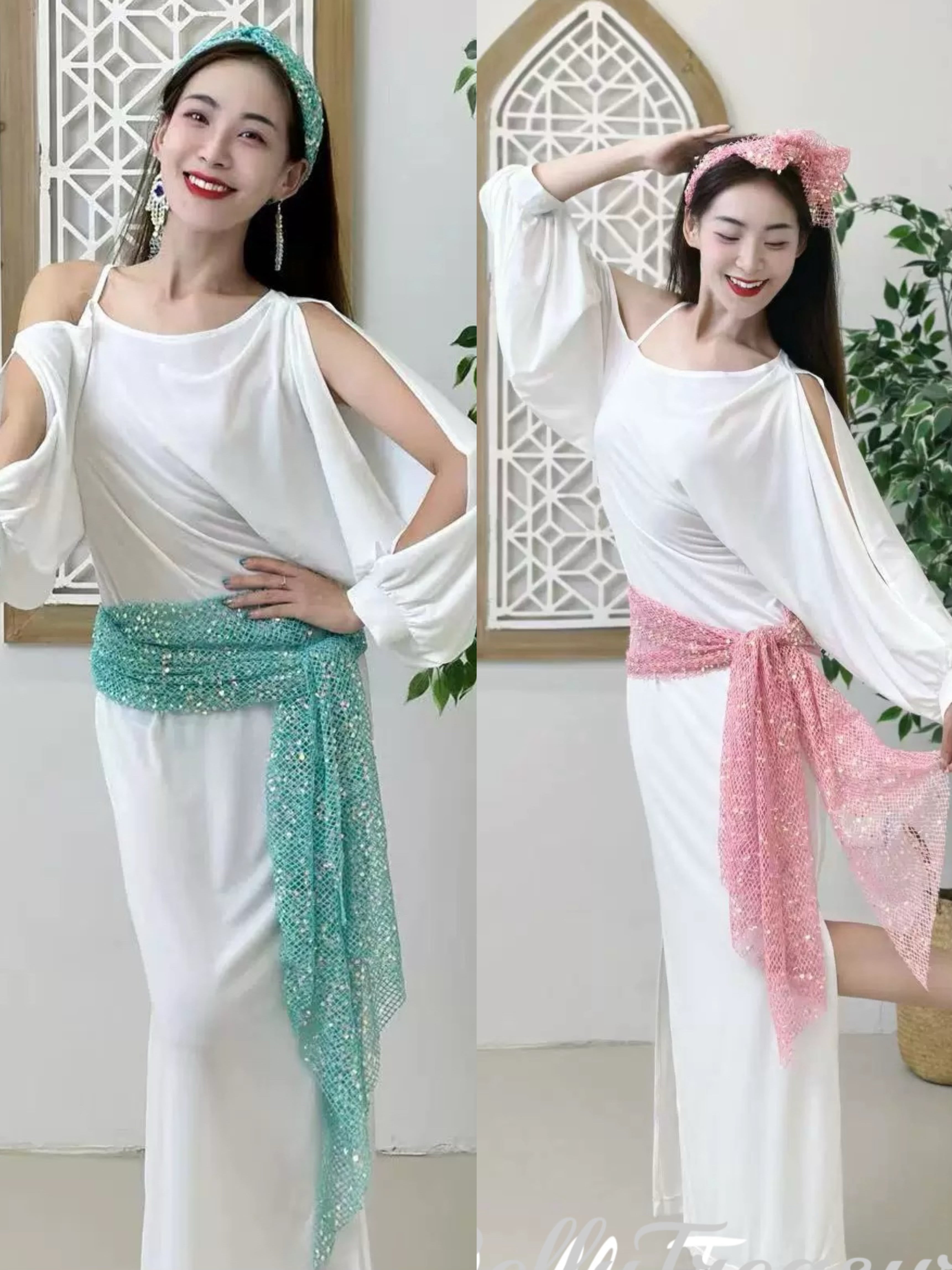 ベリーダンス 2カラー バラディドレス ZHML301 202506