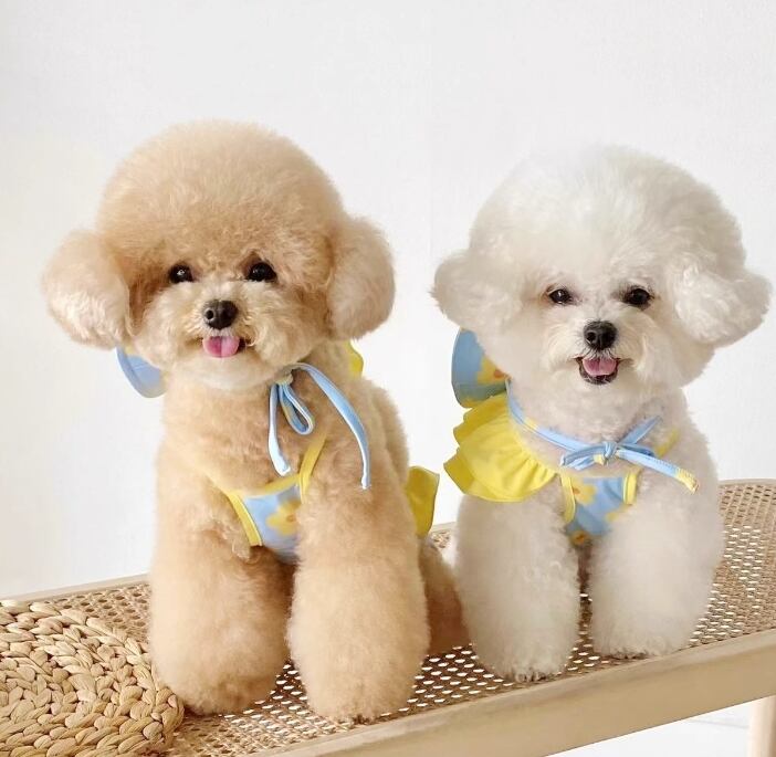 ドッグ 犬 小型犬 ドッグウェア 帽子 ビーチウェア ビキニ セット フリル 肩出し お花 ふりふり 薄手 かわいい シンプル おしゃれ ラフ スポーティー 個性的 ラブリー キュート プリンセス フェアリー 都会的 プレッピー シンプル 花柄 ヒョウ柄 夏 サマーシーズン 女の子 成犬 お出かけ アウトドア リゾート 旅行 海 プール ビーチ 休日 バカンス 川 水遊び お揃い インスタ映え 夏休み S M L XL