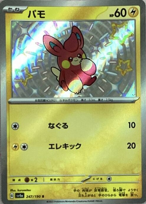 【美品】パモ(S)