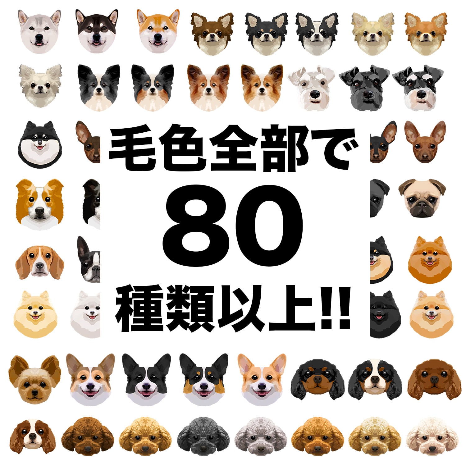 フレンチブルドッグ 毛色6色 】Tシャツ おしゃれ かわいい 犬 ペット