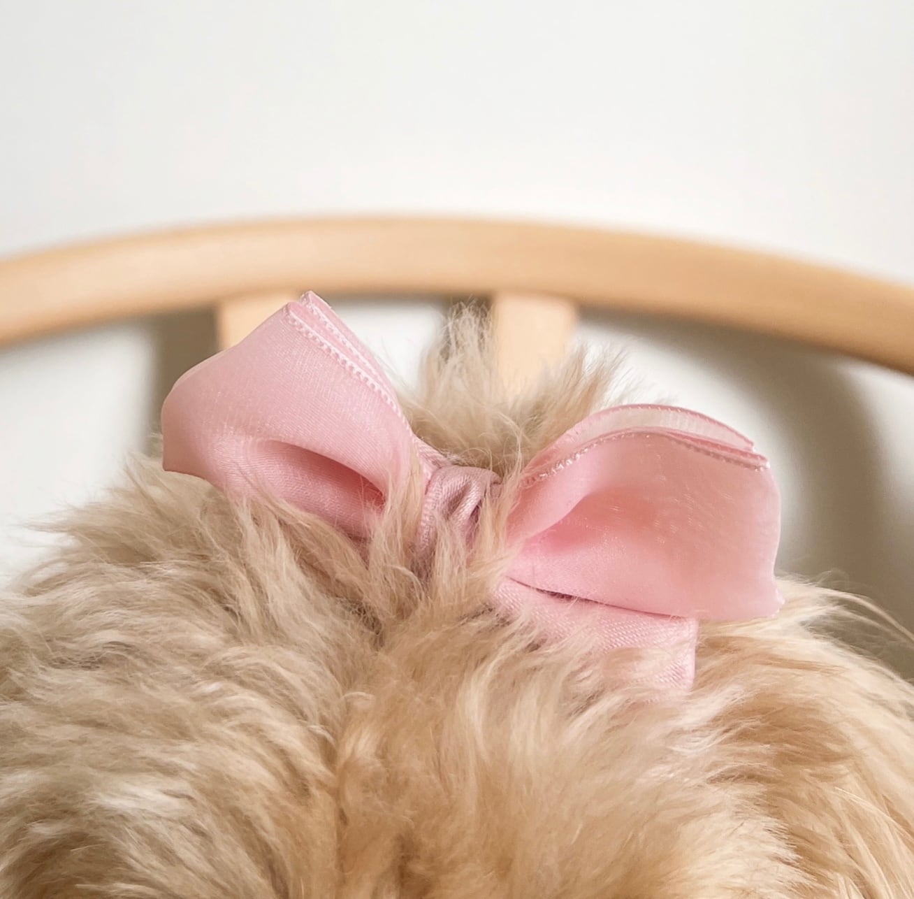 立ってる王冠おリボンパッチン