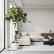 ウンベラータ 180㎝［人工観葉植物・フェイクグリーンT］