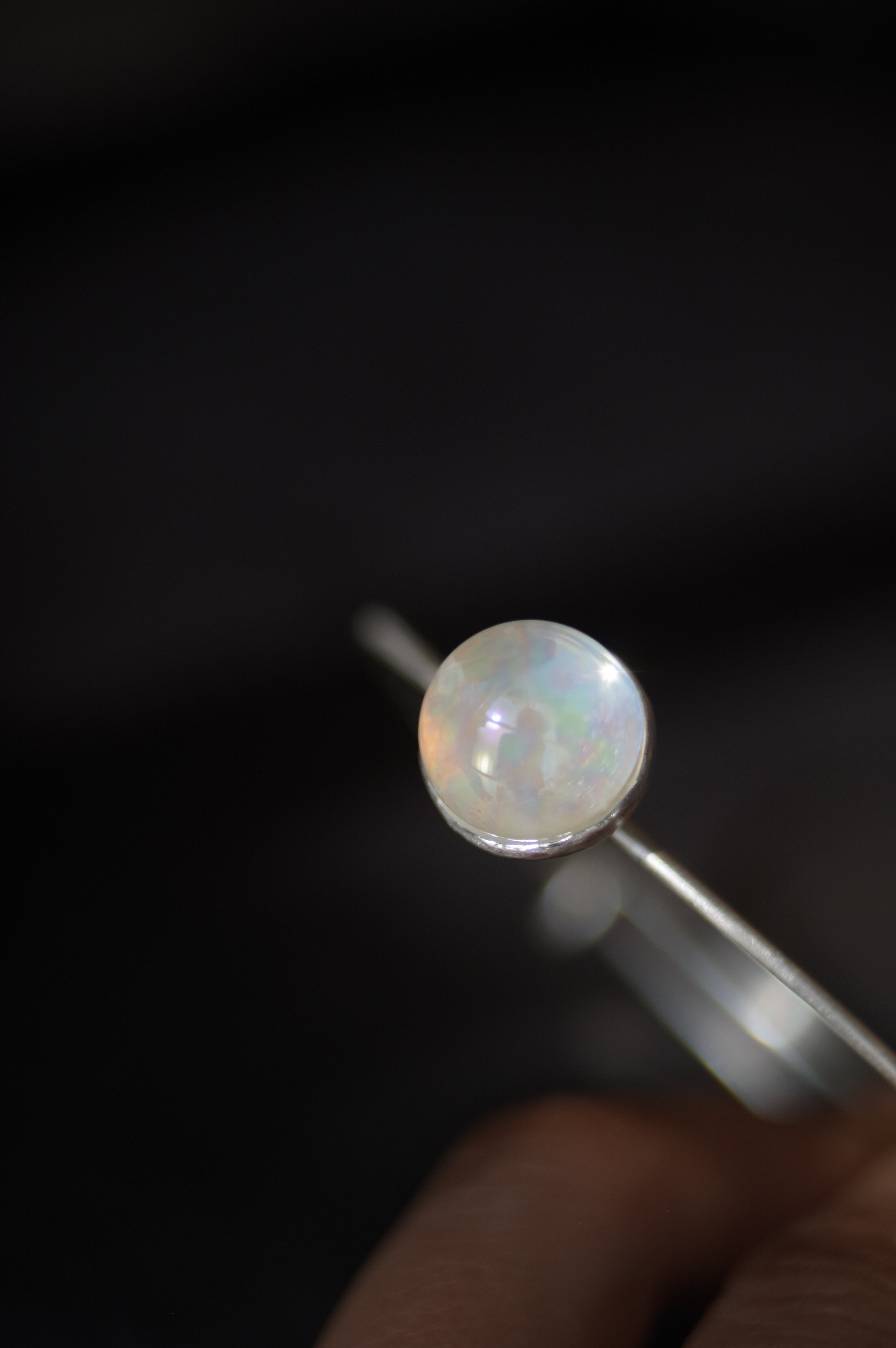 Perle | ambervacance