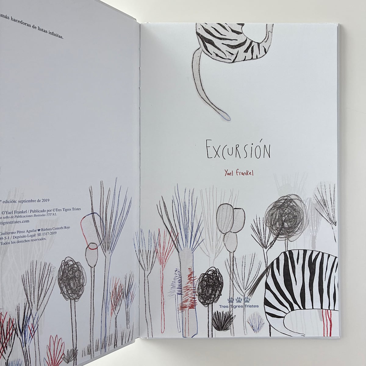 Excursión / ちいさな旅 | 素敵な洋書絵本のお店 Read Leaf Books