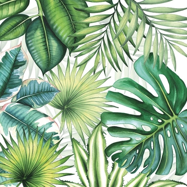 【Ambiente】バラ売り2枚 カクテルサイズ ペーパーナプキン TROPICAL LEAVES グリーン