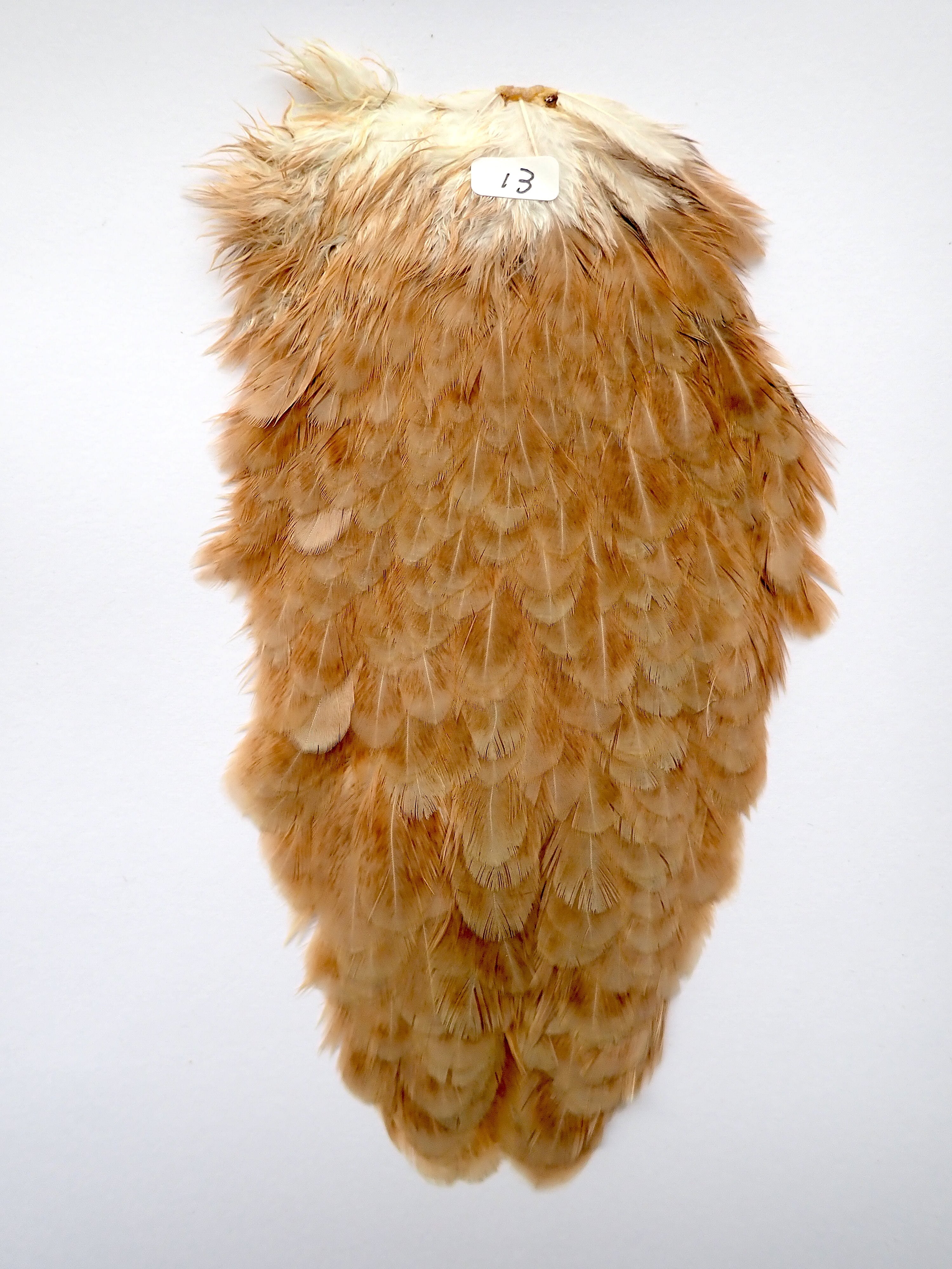 HEN SADDLE HACKLE | Anglefield Fly Supplies