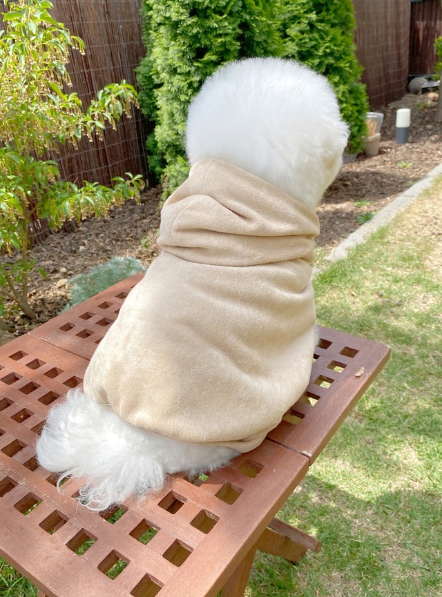 〈 予約アイテム 〉EYOU / テリーローブガウン