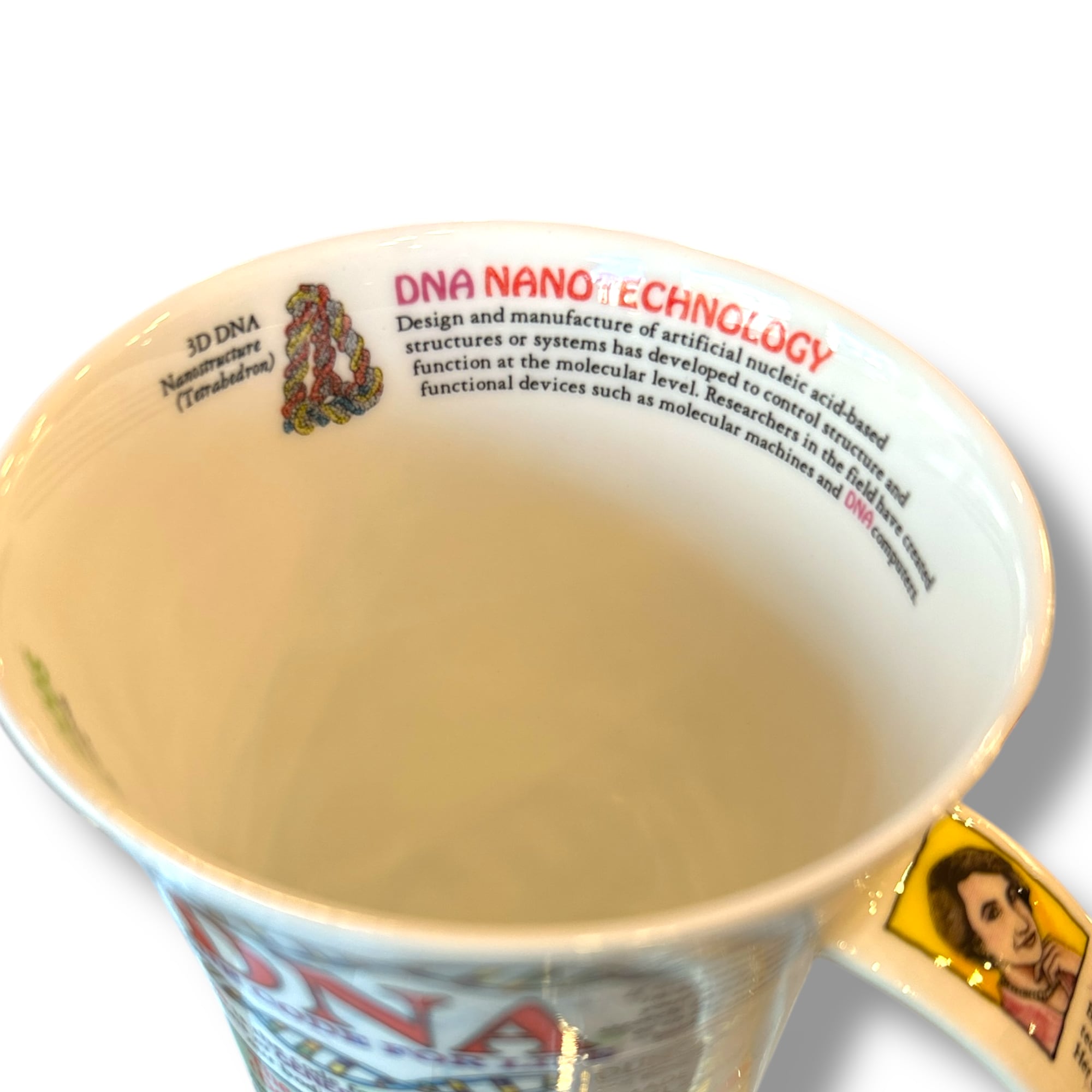 GLEN(500ml) DNA【DUNOON】グレン DNA ダヌーン ビアマグ | COCOON PLUS