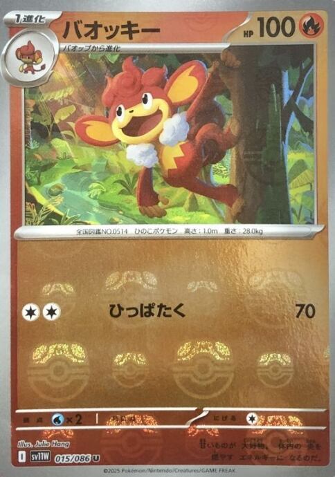 【美品】バオッキー(マスターボール(ミラー)