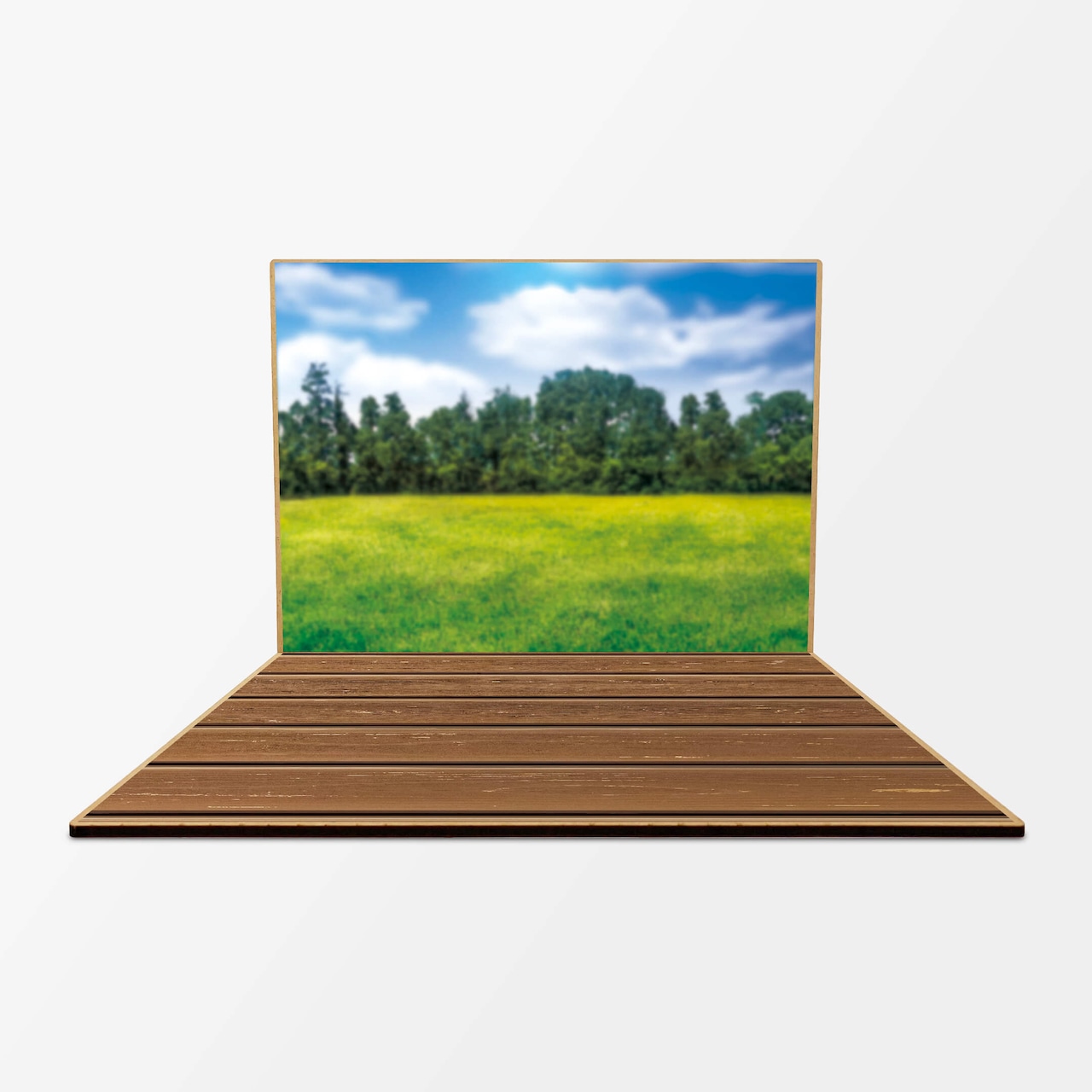 サマーピクニック