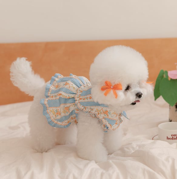 予約【Rolling pepe】Fleur Check Dress - Blue