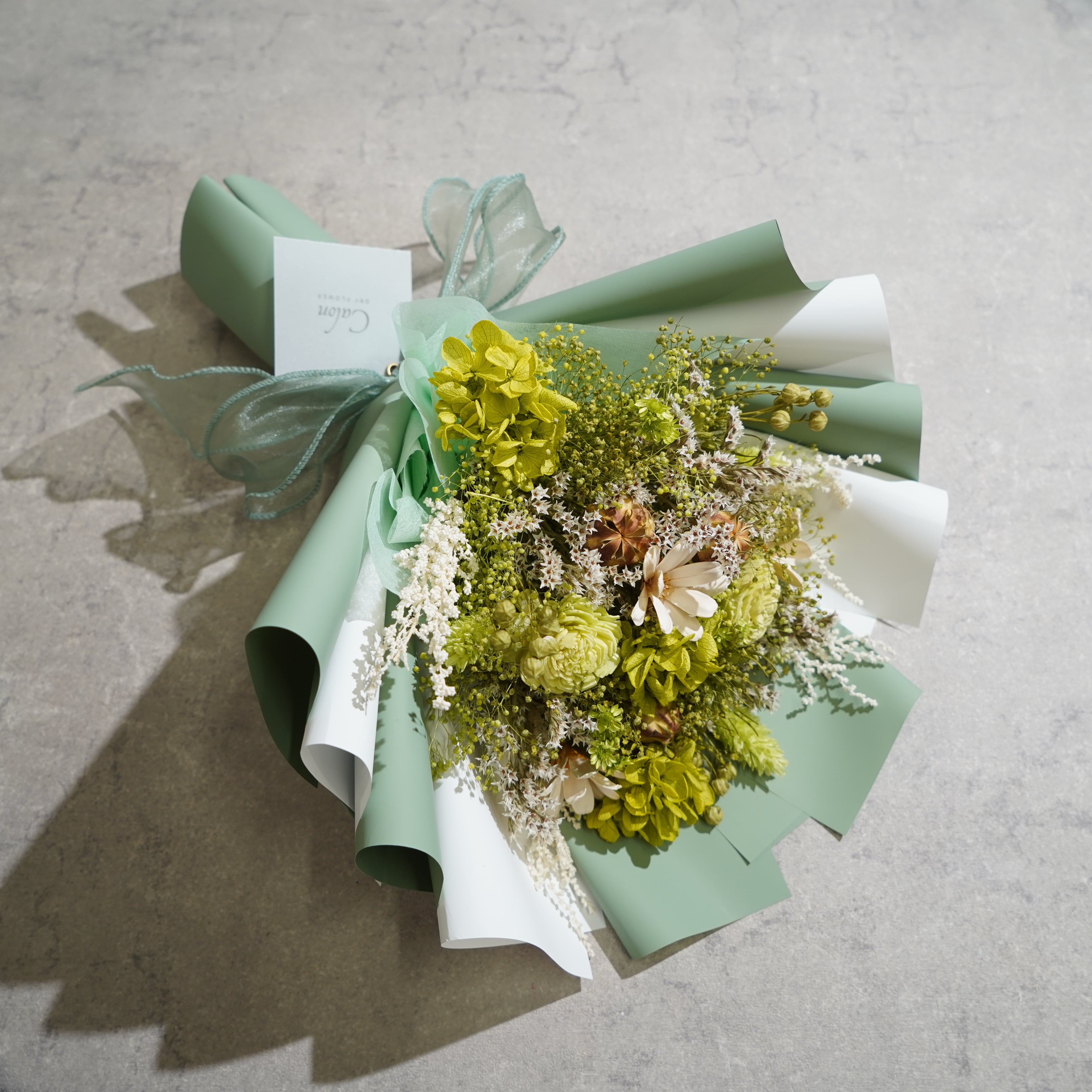 グリーン系 | Calon DRY FLOWER 公式オンラインショップ｜ドライ