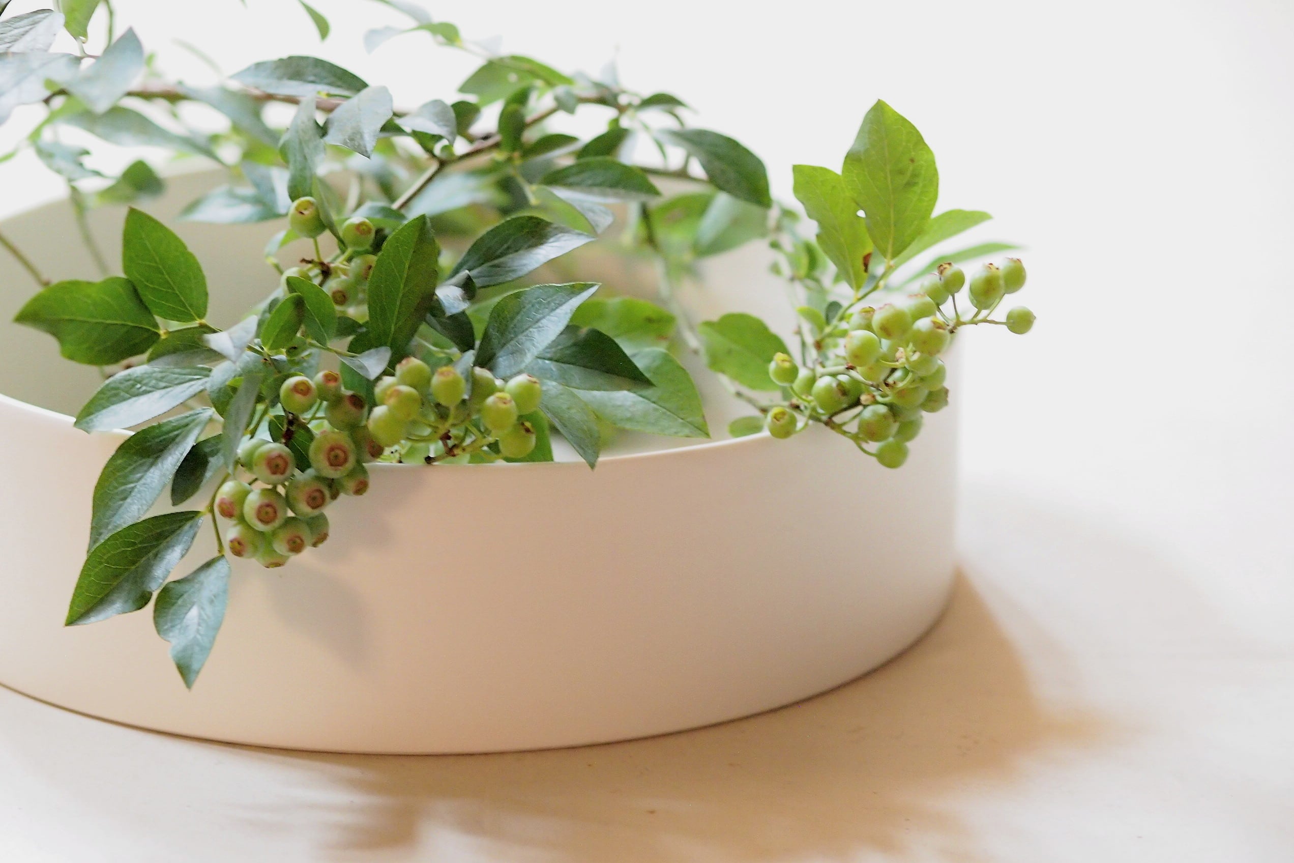 大谷哲也 84.台鉢 | 陶屋なづな