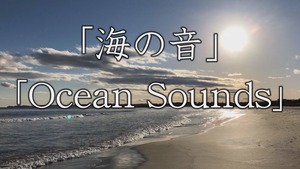 【自律神経を整える音楽】海の音(睡眠・リラックス）Ocean Sounds【WAV音源】