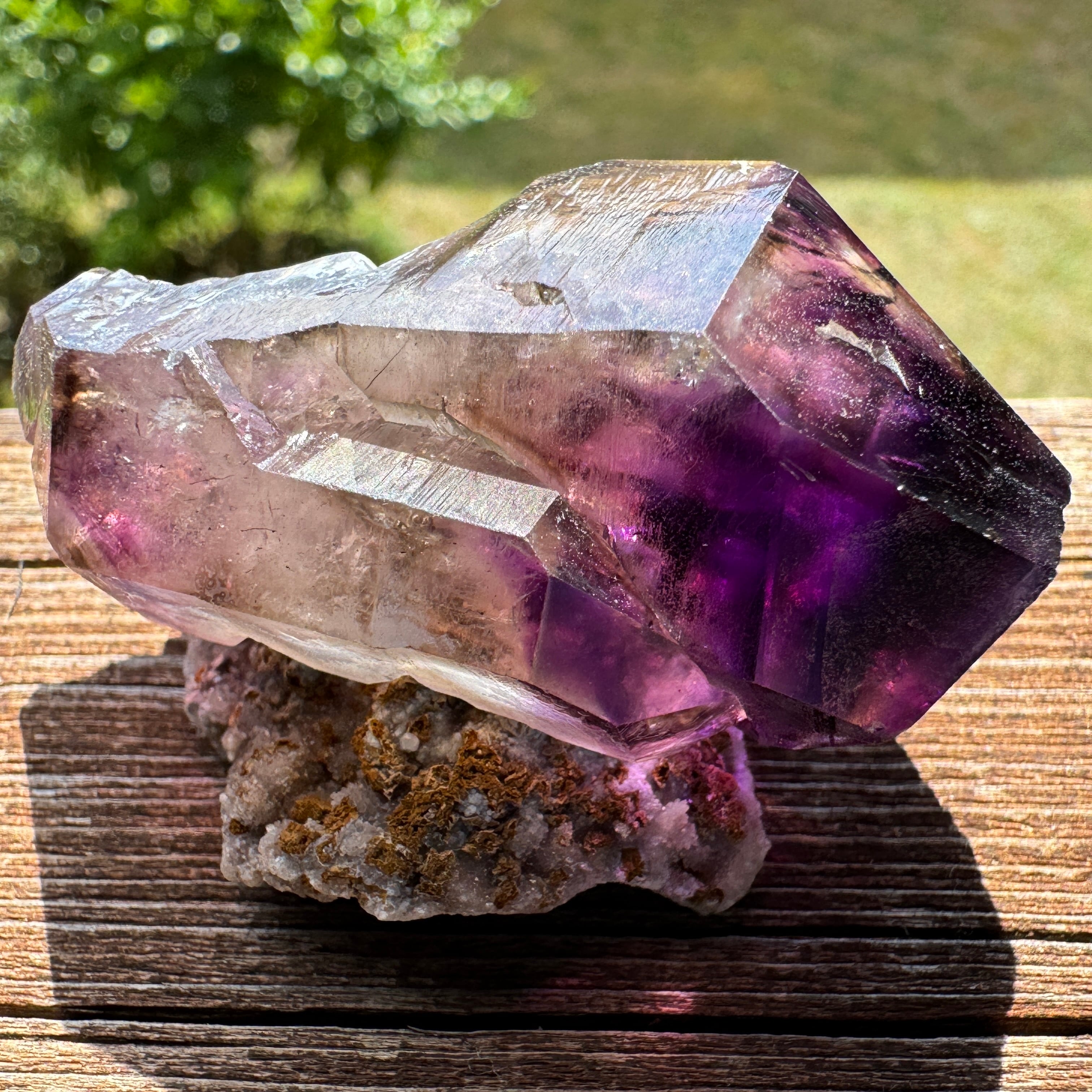 レコードキーパー | アトリエ セドナ