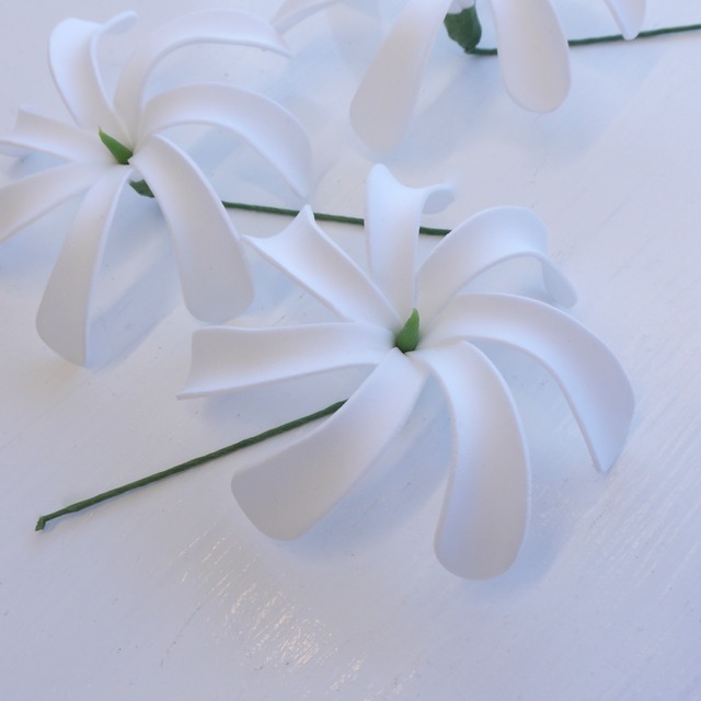 ★ハワイ直輸入★ティアレ 1本／髪飾り／タヒチアン ダンス／ハワイアン雑貨／フラ／ティアレピック