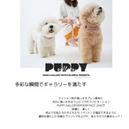 【PUPPYGALLERY公式】【予約】【即納】アトランタリード　MM