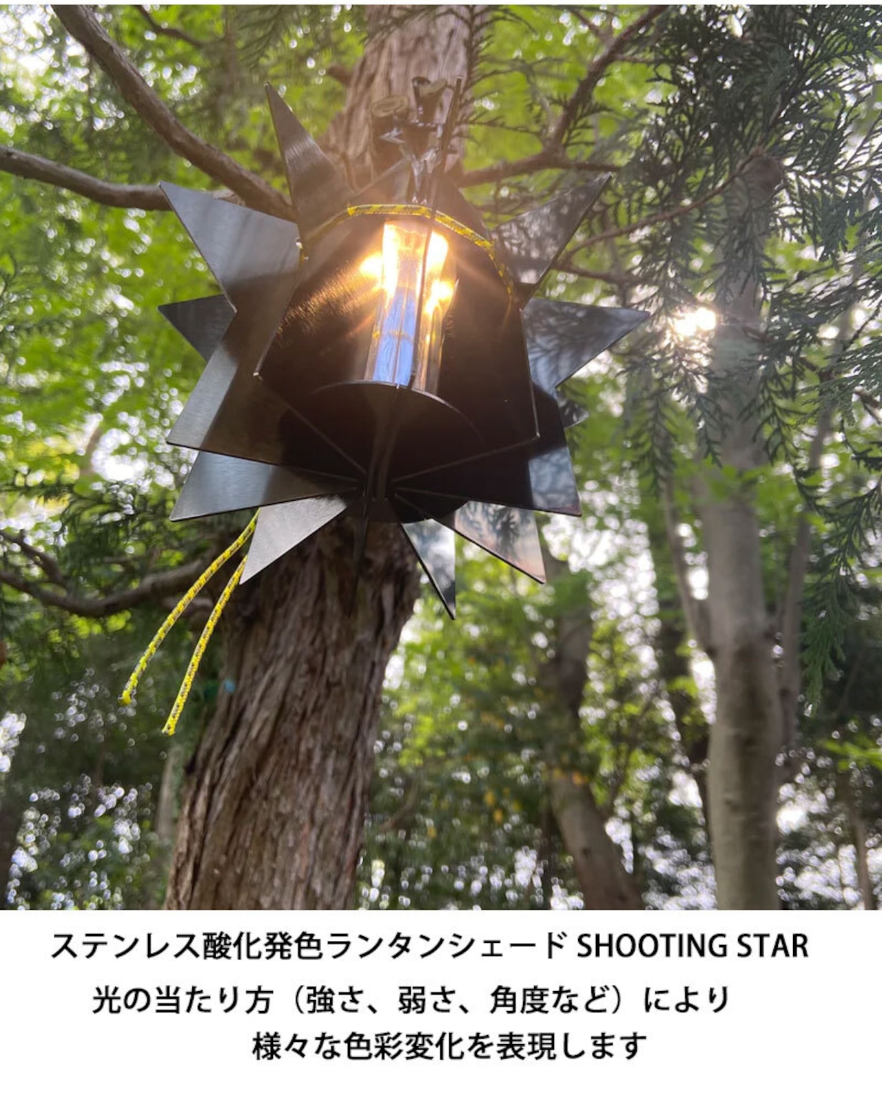 Mt.Paulownia(マウントポローニア) SHOOTING STAR シューティングスター