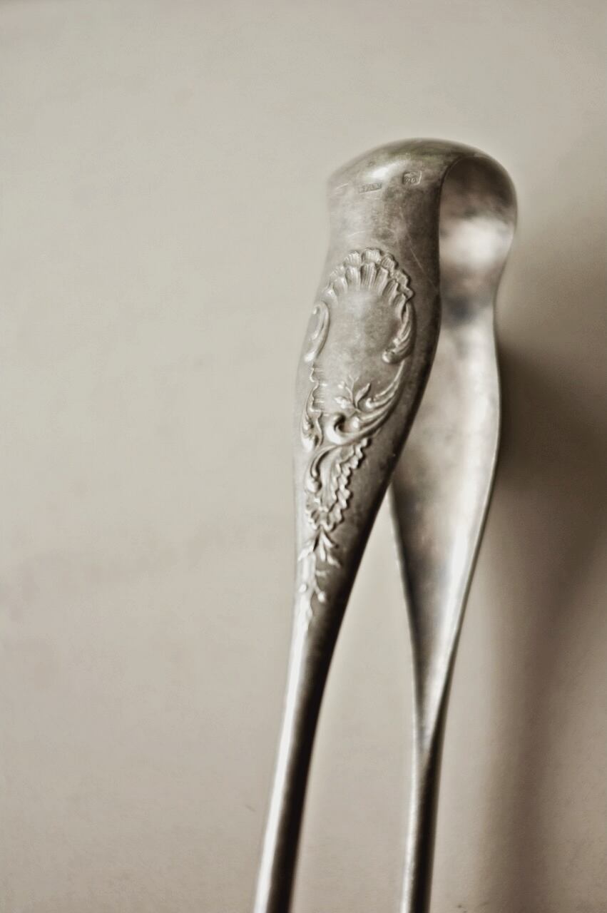 フランスアンティーク 獅子爪とロカイユに咲く野花とシュガートング