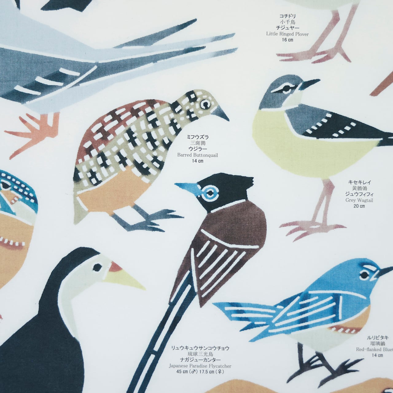 紅型べにきち 紅型ポスター 琉球の鳥 | 島の装い。STORE