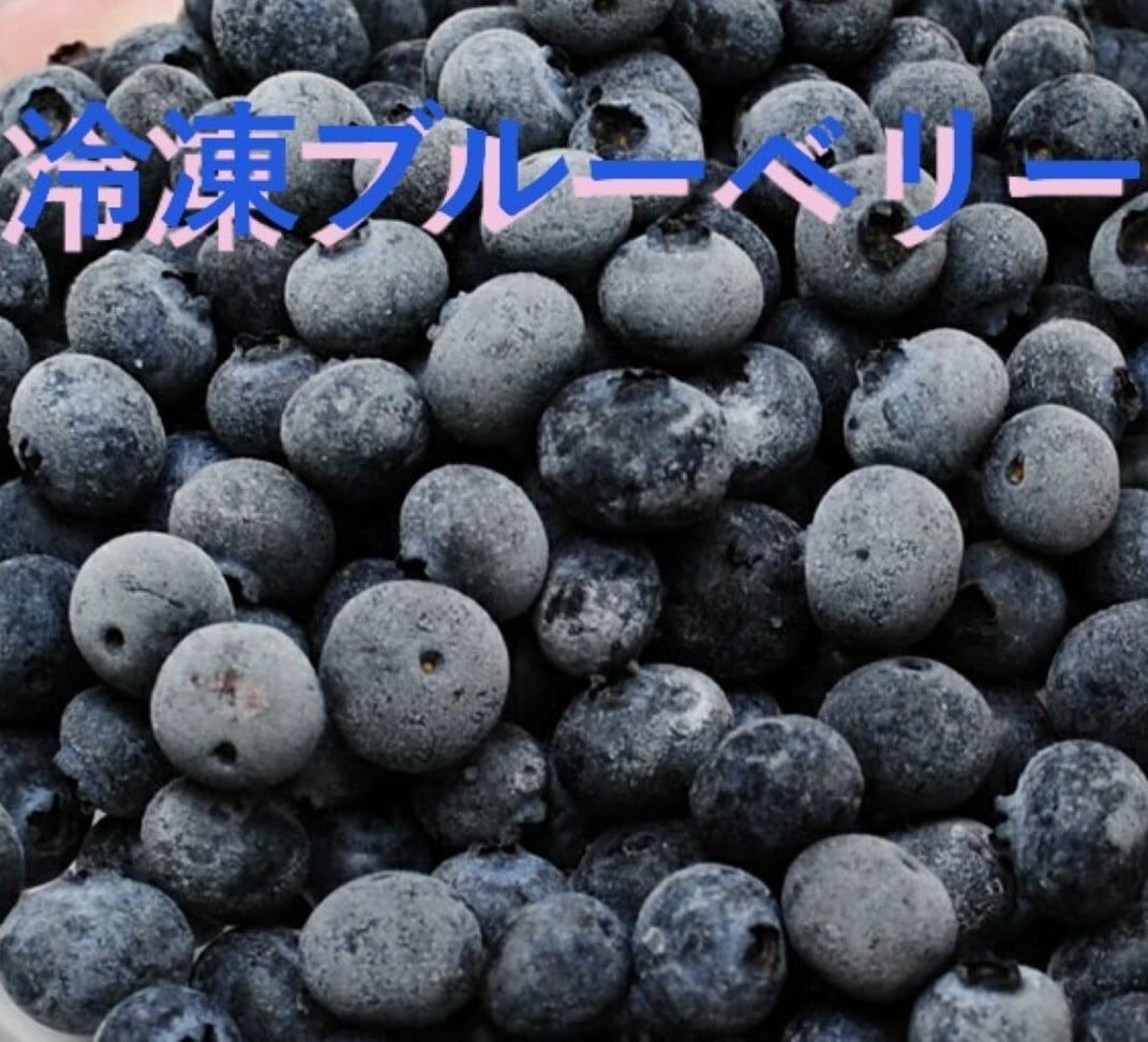 冷凍ブルーベリー 約500g 1個～9個迄 | 希望の丘農園.Shop