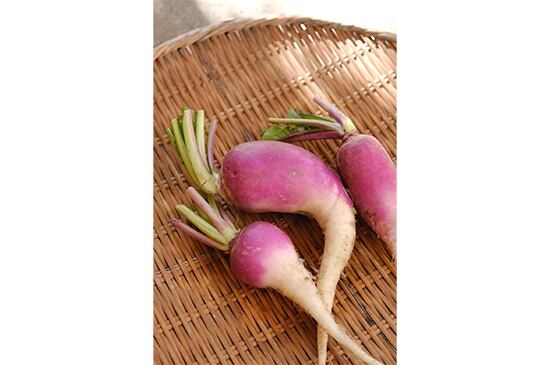 芥屋かぶ(福岡県産)・2個【11月21日発送開始】