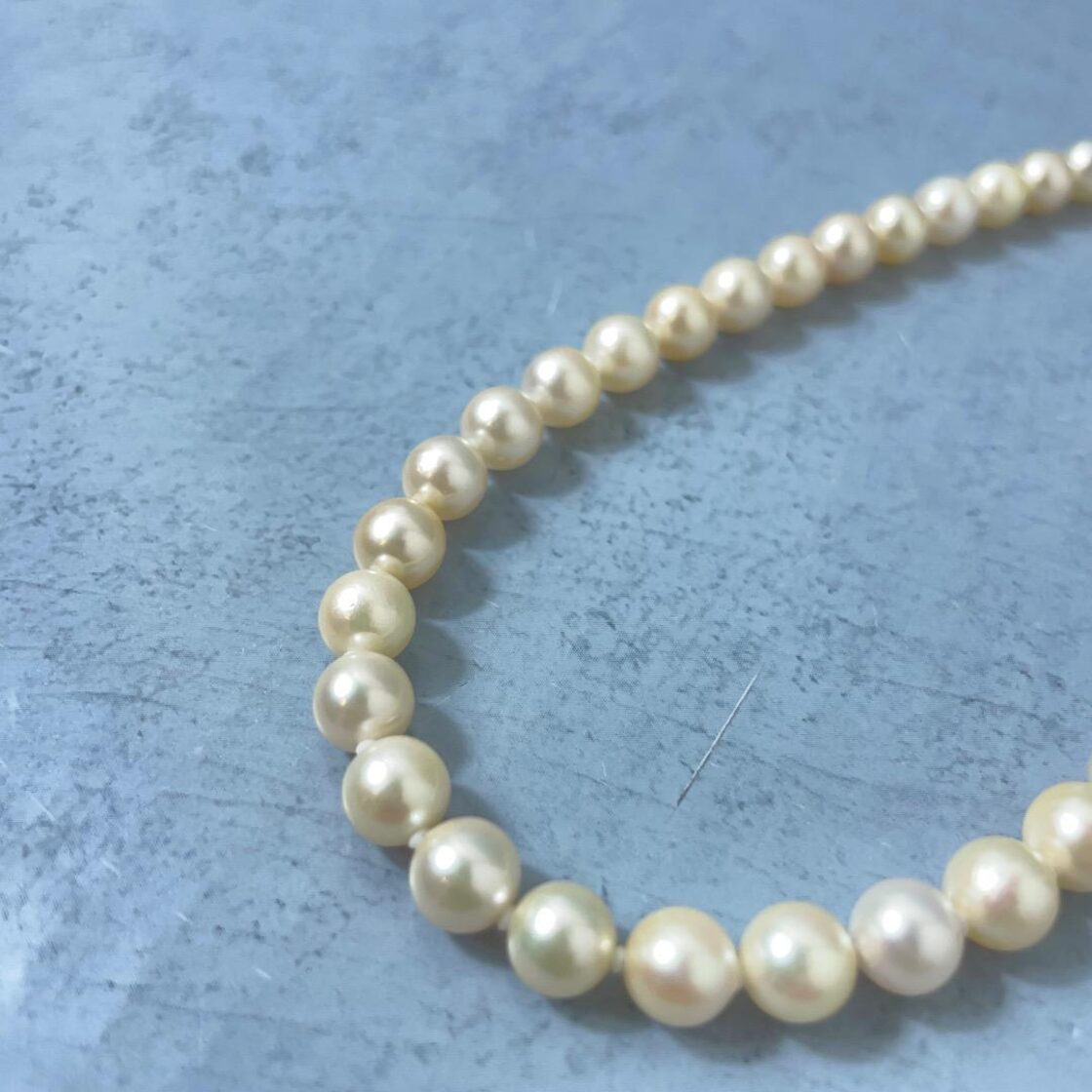 保証書付 本真珠 パール ネックレス イヤリング ブローチ 3点セット  