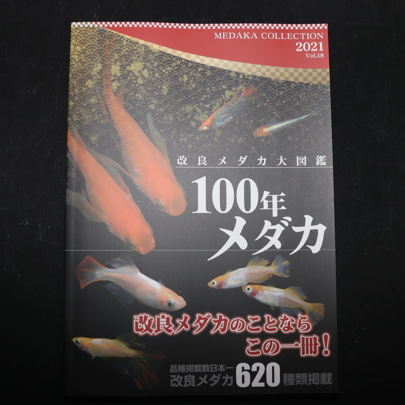 オススメ 高タンパク育成フード ハイ グロウss メール便対象商品 g