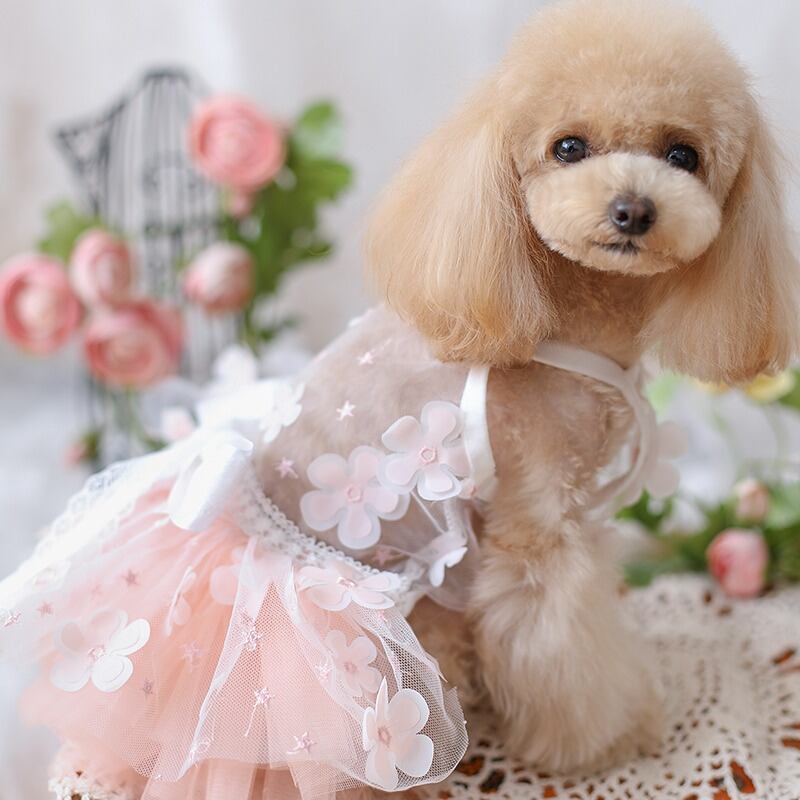 大型犬もOK 柔らかい桃色のお花のワンピース