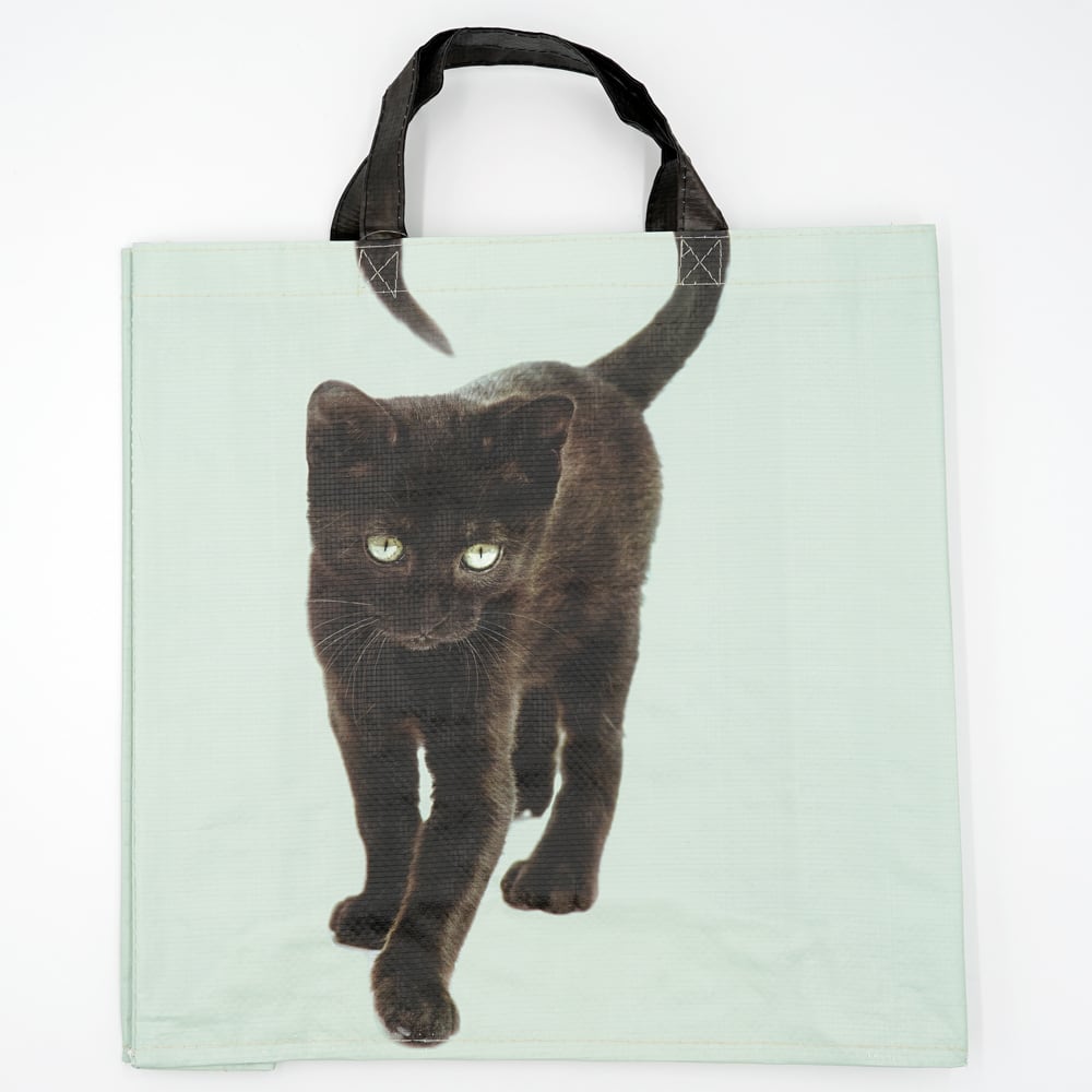 猫ショッピングバッグ(EsschertDesign)三匹の子猫 | マスノヤ衣料品店 