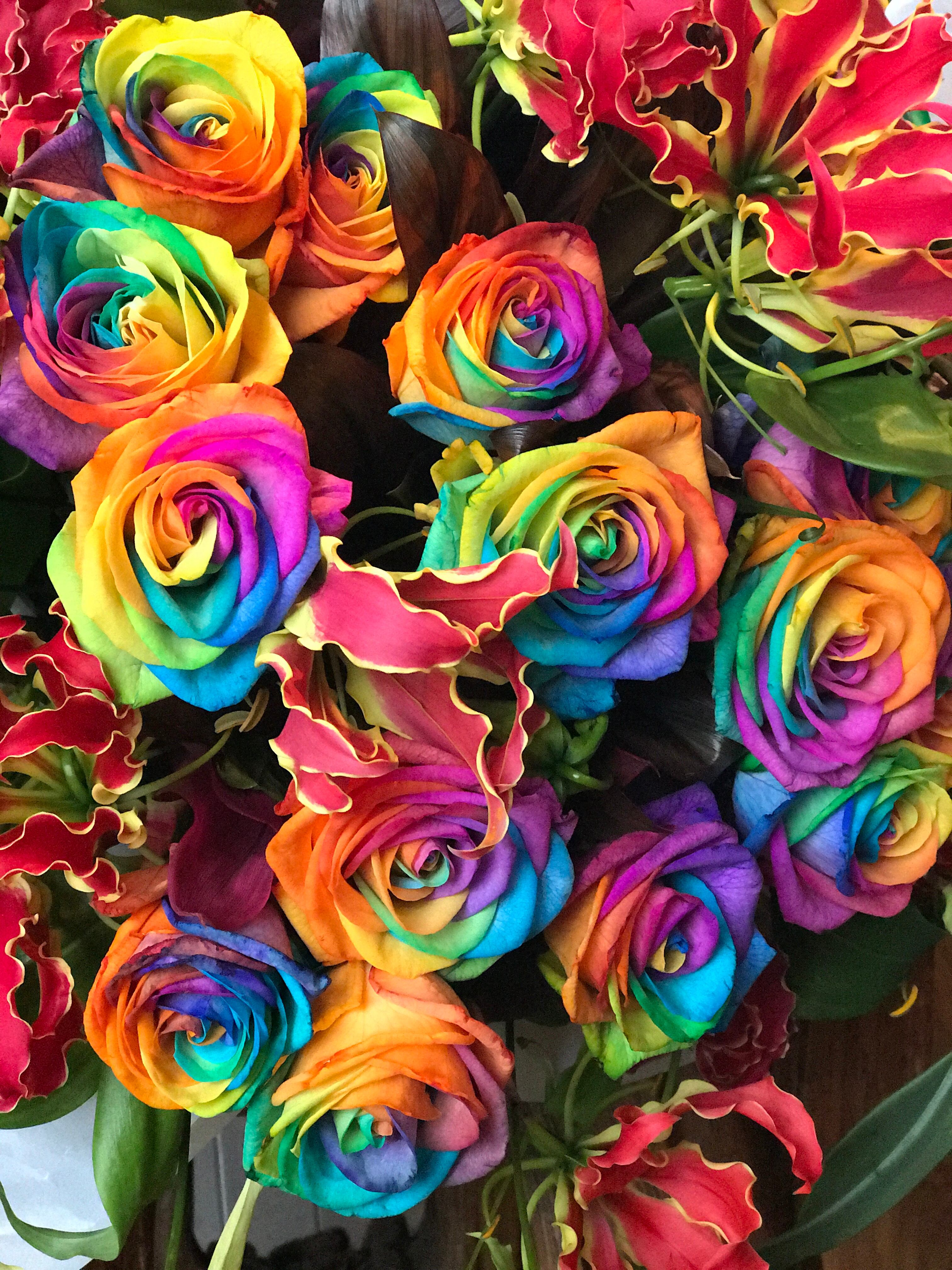 レインボーローズな花束 10日前オーダー限定 Lotus Garden