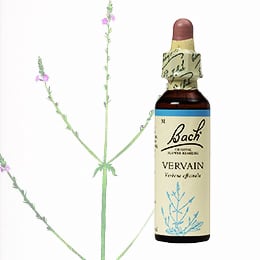 ごまかし | バッチフラワーレメディの選定販売 | グッドライフプレア