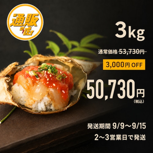 【9/9~順次発送】どろぼうのケジャン 3kg(約6杯)