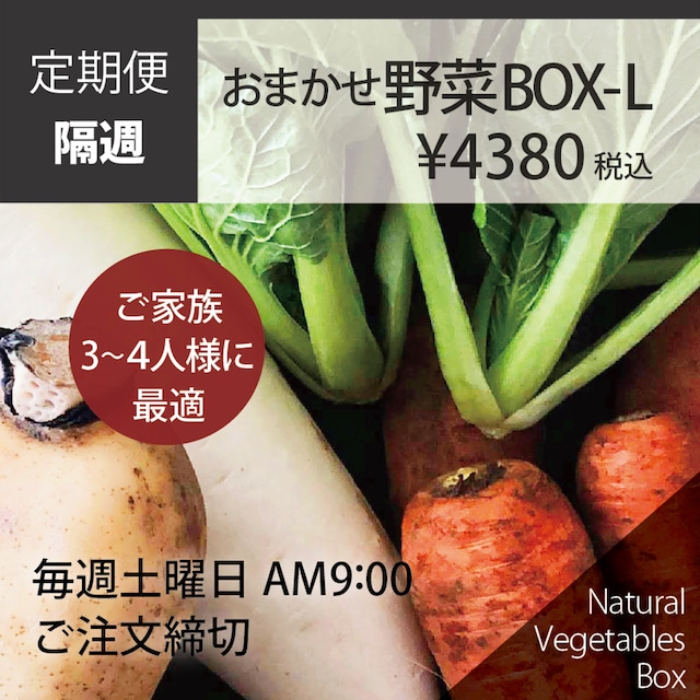 【隔週】おまかせ野菜BOX - Lサイズ