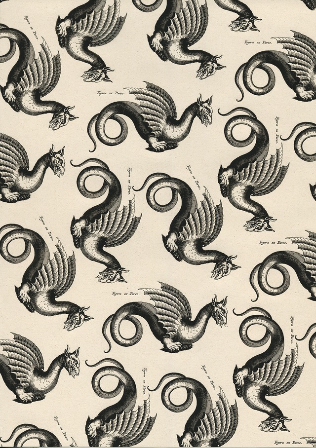 ROSSI 1931 ペーパー LTP104 約50x70cm イタリア製