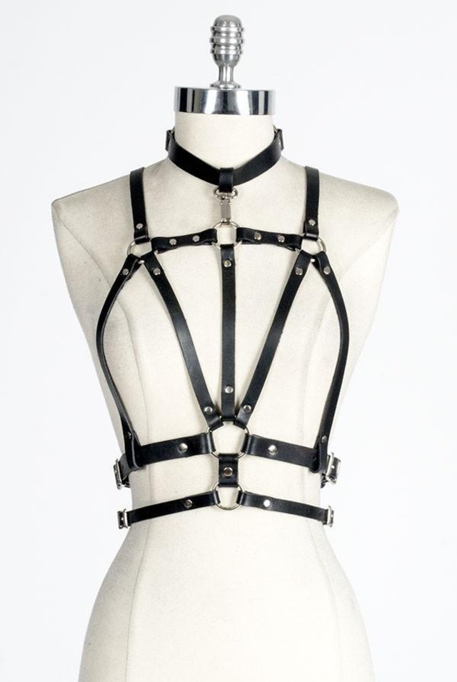 ZANA BAYNE cruxus harness
