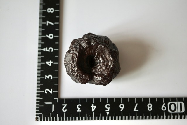 エジプト産ゼットストーン 特殊 Pseudomorph Goethite After Marcasite 1244