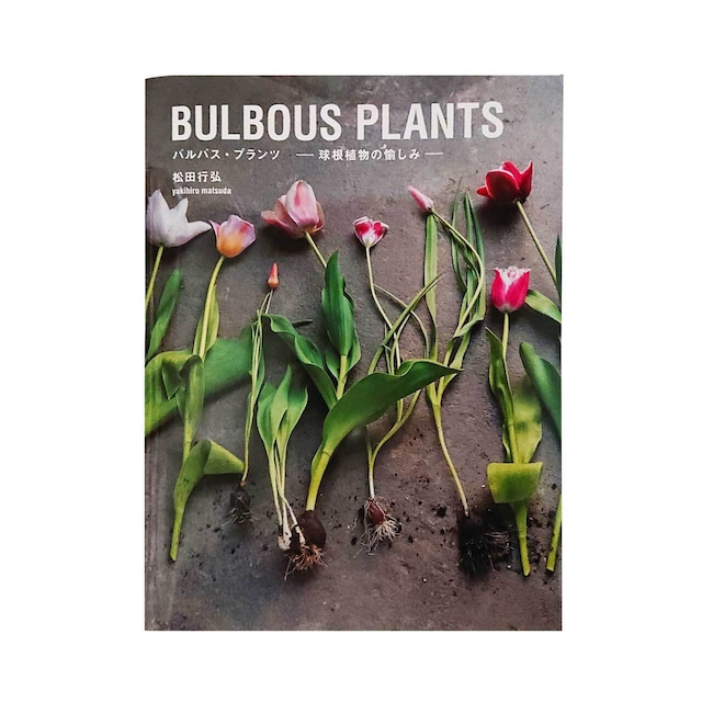 BULBOUS PLANTS