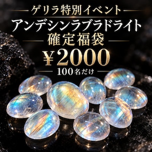 ゲリラ特別イベント-アンデシンラブラドライト確定福袋- ［No.K-855］