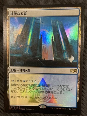 MTG《神聖なる泉/Hallowed Fountain(RNA)》日本語 プロモスタンプ付 Foil