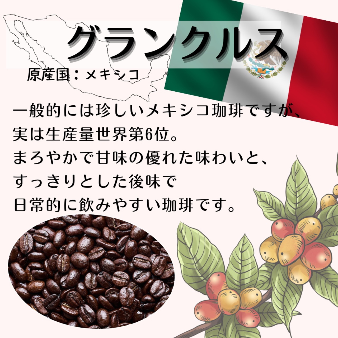 グランクルス (メキシコ)800ｇセット