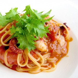 北海道産 刺身用たこ足 600～1200g/1本