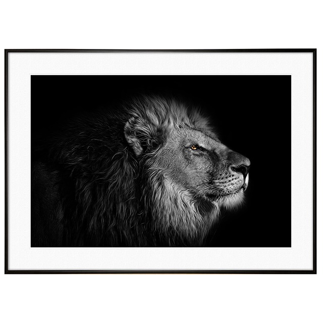 動物写真 ライオンインテリア モノクロアートポスター額装 AS0145