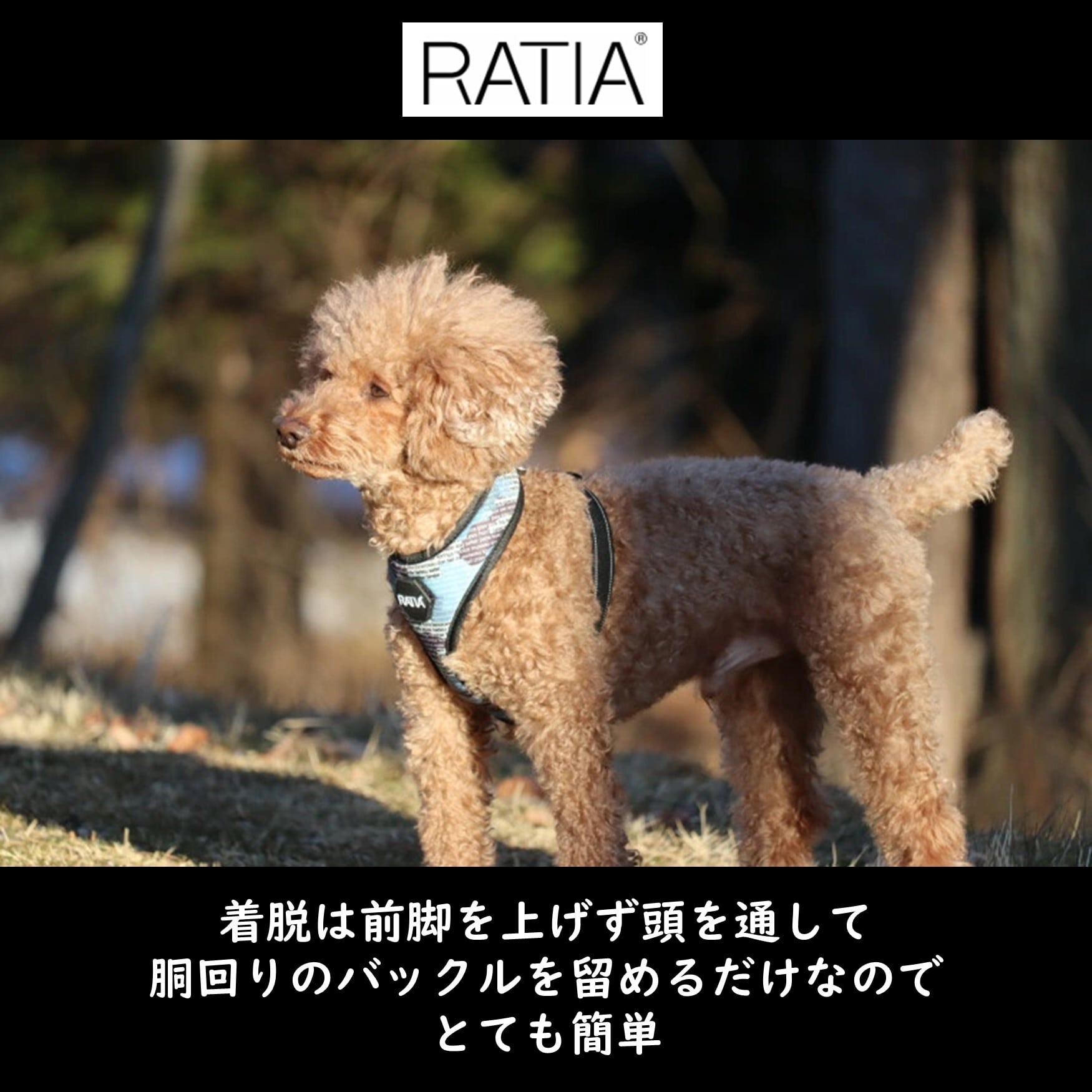 Ratia】【デザインスタジオ ラティア】北欧デザイン・ラティア