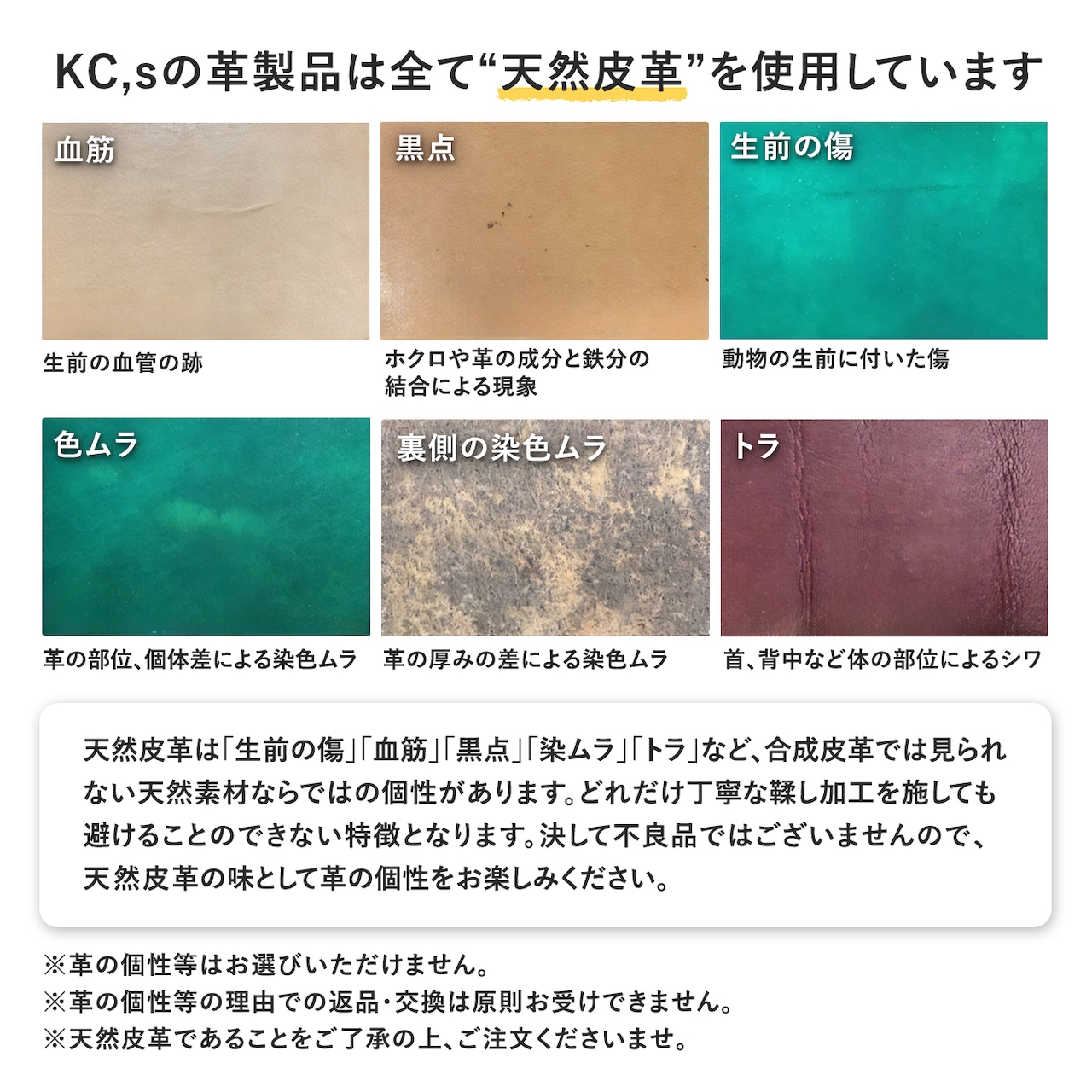 カードケース プレート3 オイルバケッタ