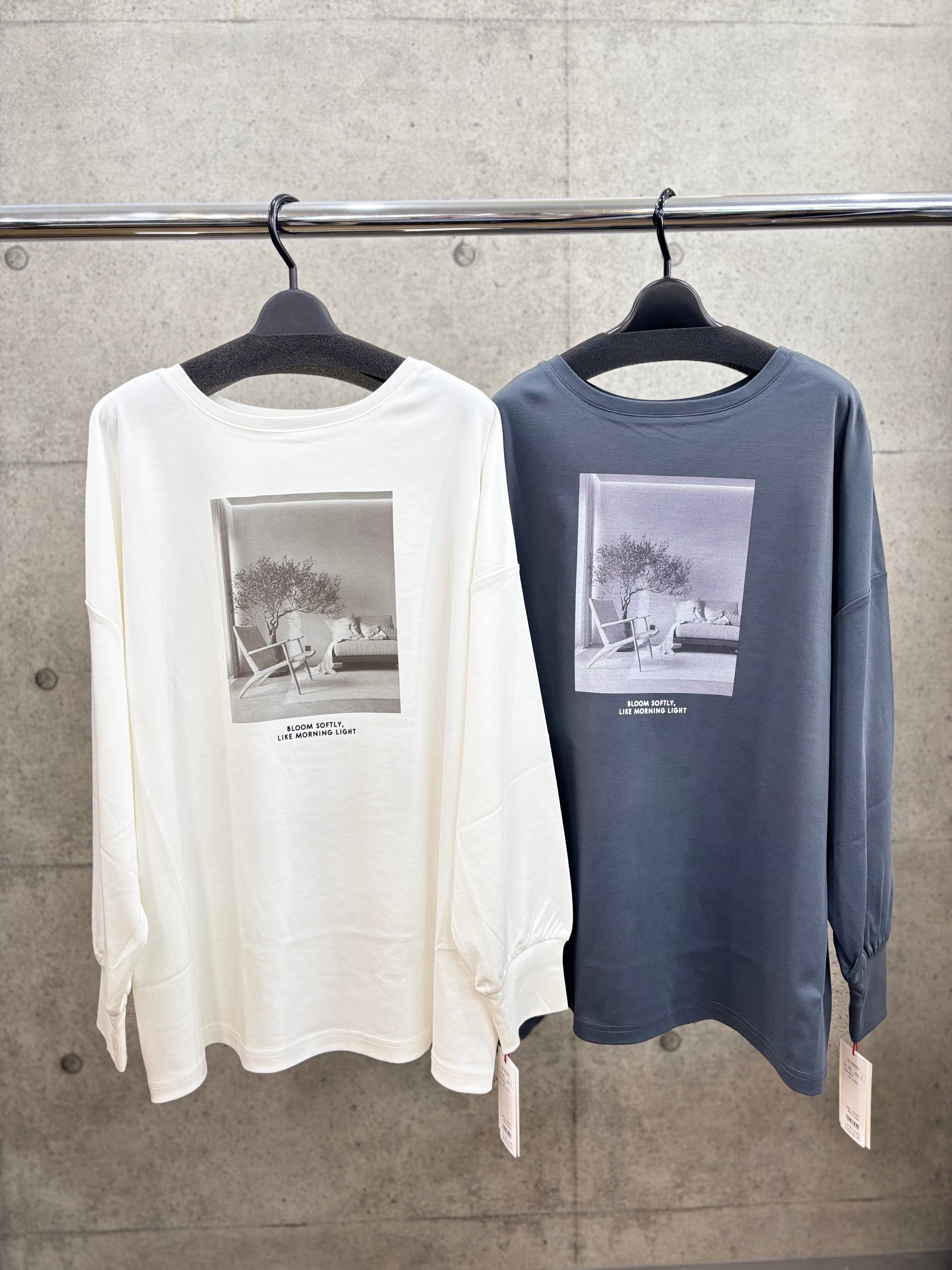 【送料無料】DigniteCollier(ディニテコリエ) 2WAYフォトTシャツ ロンT ロンTee ロングTシャツ ラグラン ドルマン 手洗い可能 80256000